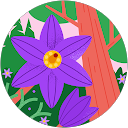 Darlene Fenoulhet profile picture